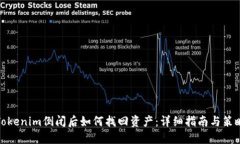 Tokenim倒闭后如何找回资产：详细指南与策略