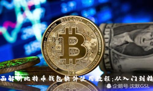 全面解析比特币钱包软件使用教程：从入门到精通
