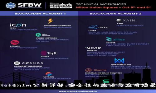 TokenIm公钥详解：安全性的基石与应用场景