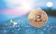 由于您提到的内容非常庞大，并且涉及多个部分