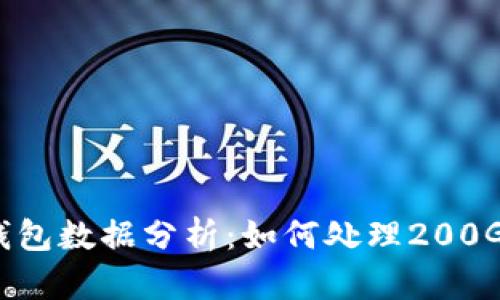 比特币客户端钱包数据分析：如何处理200GB的区块链数据