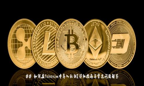 ## 如何在Tokenim中导入私钥？详细指南与常见问题解答