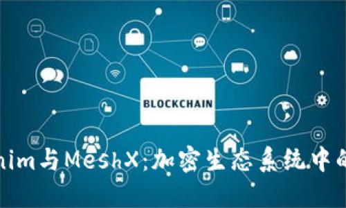 探讨Tokenim与MeshX：加密生态系统中的新兴力量