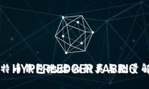 比特币钱包地址的种类与数量解析