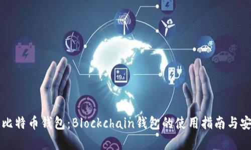 深入了解比特币钱包：Blockchain钱包的使用指南与安全性分析