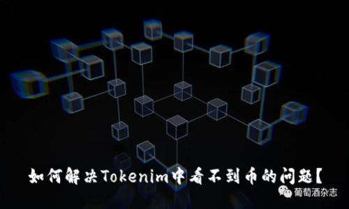 如何解决Tokenim中看不到币的问题？