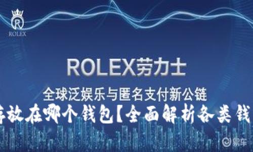 : SHIB币可以存放在哪个钱包？全面解析各类钱包的优势与选择