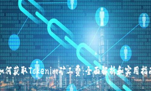 如何获取Tokenim矿工费：全面解析和实用指南