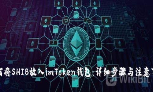 如何将SHIB放入imToken钱包：详细步骤与注意事项