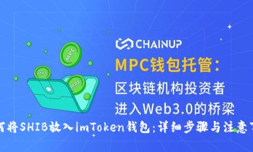 如何将SHIB放入imToken钱包：详细步骤与注意事项