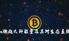 Tokenim燃烧几种能量及其对生态系统的影响