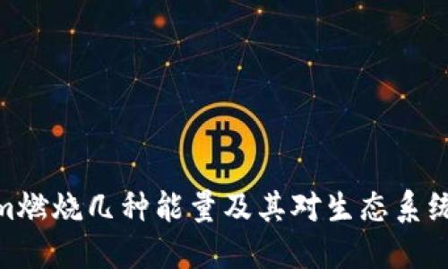 Tokenim燃烧几种能量及其对生态系统的影响