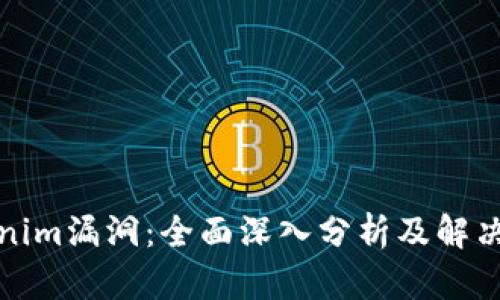 Tokenim漏洞：全面深入分析及解决方案