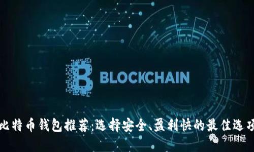 比特币钱包推荐：选择安全、盈利快的最佳选项