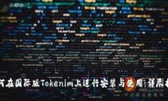 如何在国际版Tokenim上进行安装与使用：详尽指南