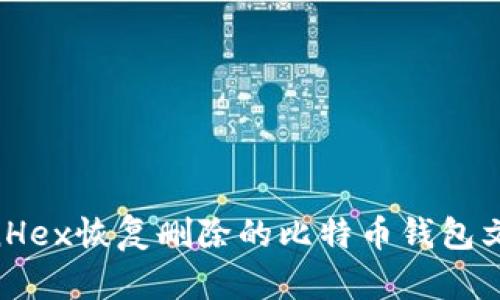 如何使用WinHex恢复删除的比特币钱包文件：完整指南