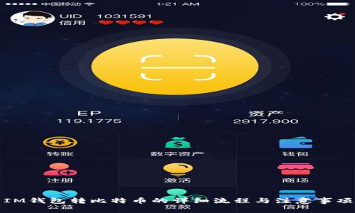 IM钱包转比特币的详细流程与注意事项