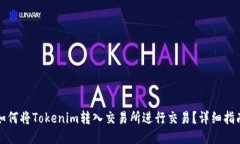 如何将Tokenim转入交易所进行交易？详细指南