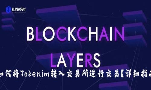 如何将Tokenim转入交易所进行交易？详细指南