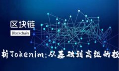全面解析Tokenim：从基础到高级的投资指南