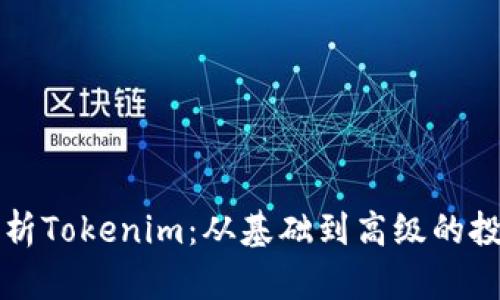 全面解析Tokenim：从基础到高级的投资指南