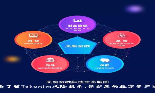 全面了解Tokenim风险提示，保护您的数字资产安全
