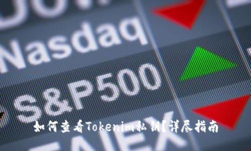 如何查看Tokenim私钥？详尽指南