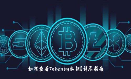 如何查看Tokenim私钥？详尽指南