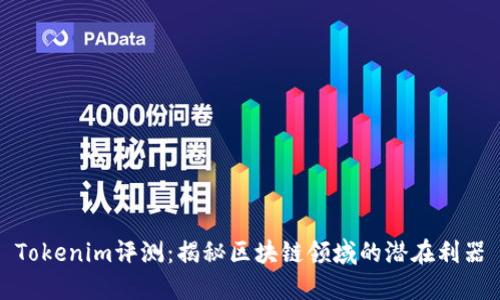 Tokenim评测：揭秘区块链领域的潜在利器
