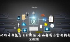 比特币钱包怎么升级版：全面解析与实用指南