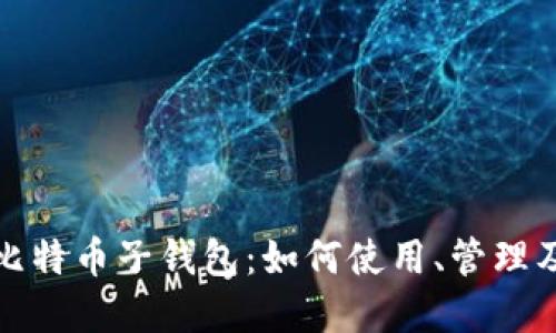 深入了解比特币子钱包：如何使用、管理及风险控制