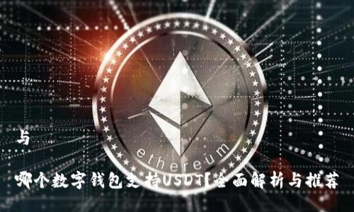 与

哪个数字钱包支持USDT？全面解析与推荐