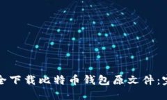 如何安全下载比特币钱包原文件：完整指南