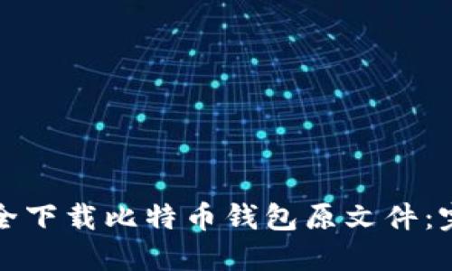 如何安全下载比特币钱包原文件：完整指南