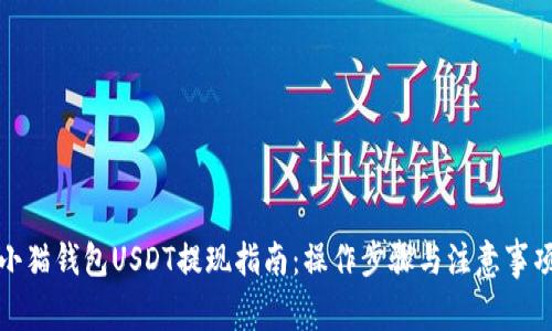小猫钱包USDT提现指南：操作步骤与注意事项