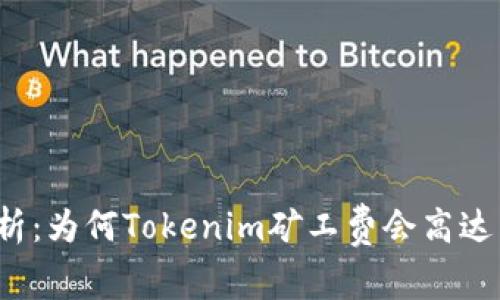 深入解析：为何Tokenim矿工费会高达几百元？