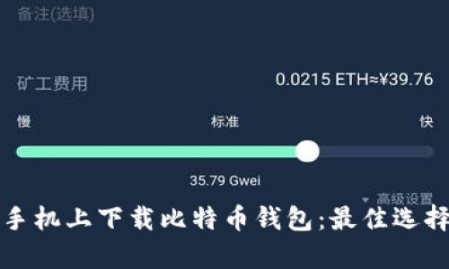 如何在安卓手机上下载比特币钱包：最佳选择与使用指南