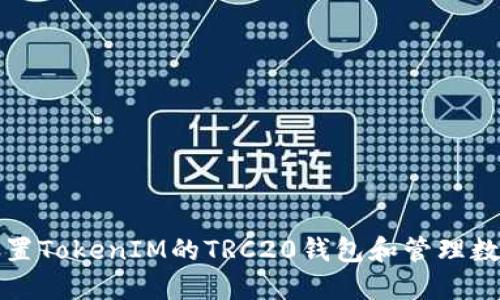 如何设置TokenIM的TRC20钱包和管理数字资产