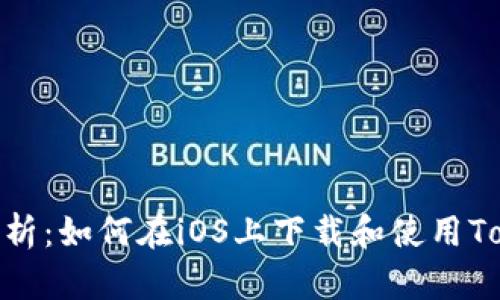 全面解析：如何在iOS上下载和使用TokenIM