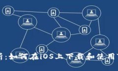 全面解析：如何在iOS上下载和使用TokenIM