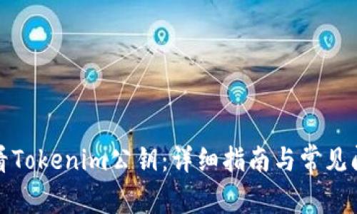 如何查看Tokenim公钥：详细指南与常见问题解答