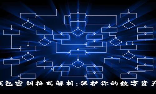 TRX钱包密钥格式解析：保护你的数字资产安全