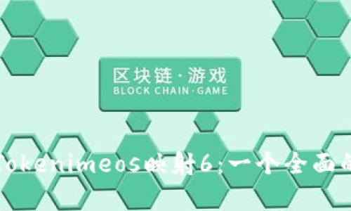 理解Tokenimeos映射6：一个全面的解析