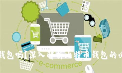 比特币需要钱包吗？深入解析比特币钱包的必要性与选择