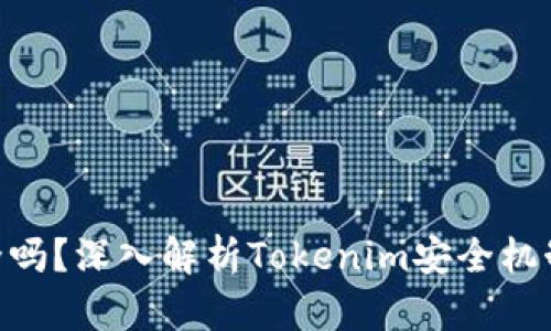 Tokenim安全吗？深入解析Tokenim安全机制与风险评估