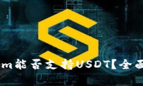 ## Tokenim能否支持USDT？全面解析与指南