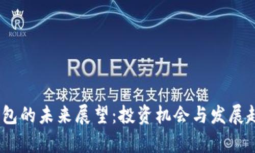 Sol币钱包的未来展望：投资机会与发展趋势分析