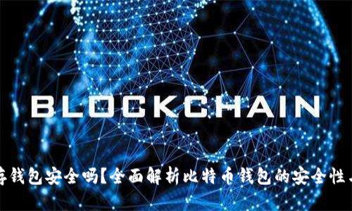 比特币存钱包安全吗？全面解析比特币钱包的安全性与可靠性