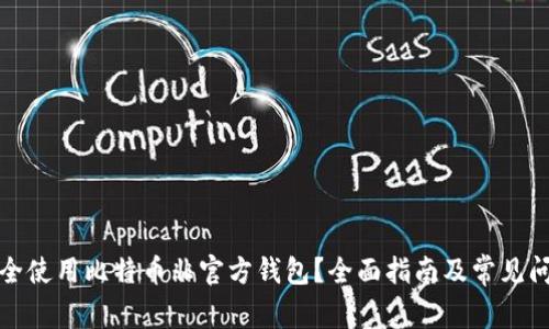 如何安全使用比特币非官方钱包？全面指南及常见问题解答