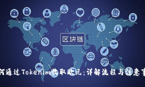 如何通过Tokenim收取欧元：详解流程与注意事项